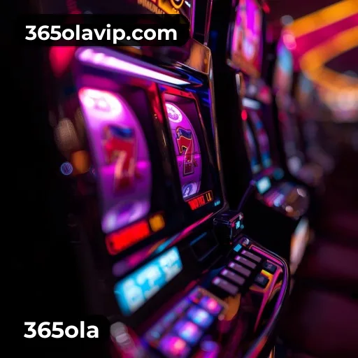 365ola Segurança Logo 2